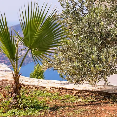 Villa Bronz